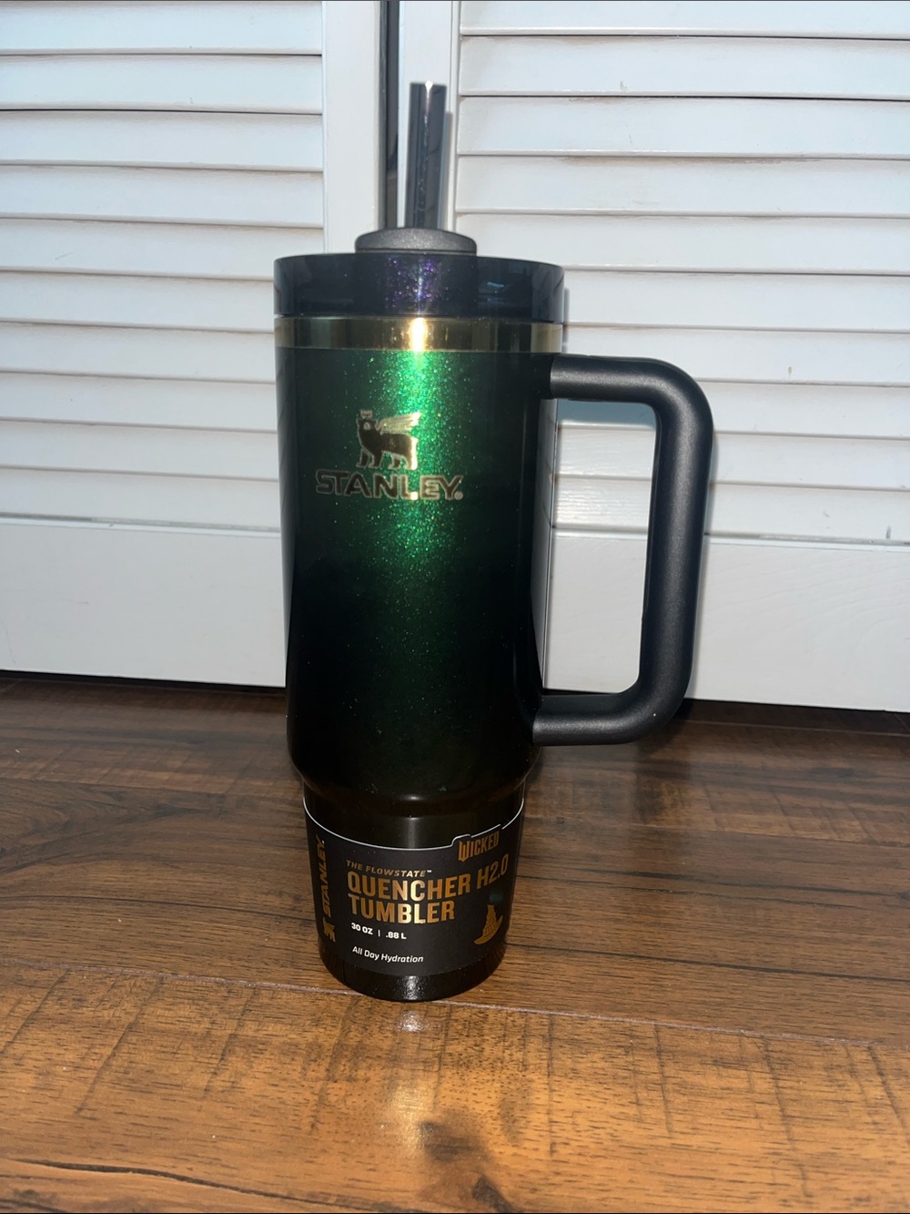 BRAND NEW (NWT) “Elphaba For Good” 30 oz Stanley Quencher H2.0 Flowstate